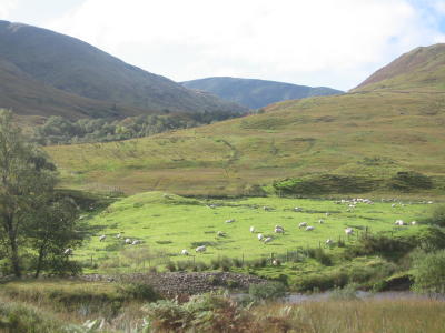 Urlaubslandschaft (2008)